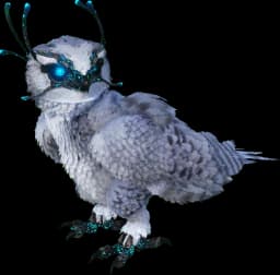 Snow Owl