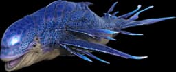 Astrodelphis