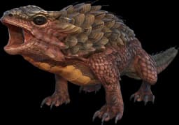 Thorny Dragon