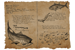 Thunnus