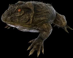 Beelzebufo