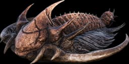 Trilobite