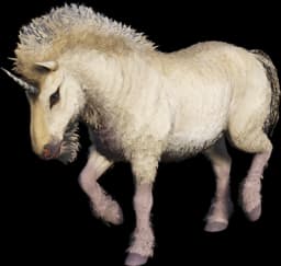 Unicorn