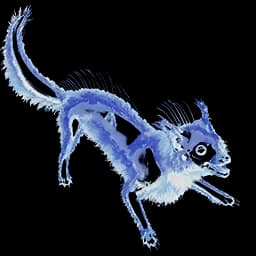 Veilwyn Ghost