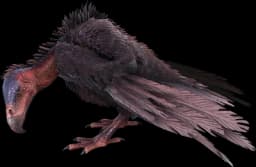 Vulture