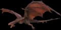 Wyvern