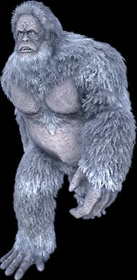 Yeti