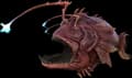 Aberrant Anglerfish
