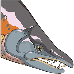 Aberrant Salmon