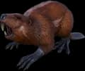 Castoroides