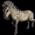 Aberrant Equus