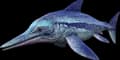 Ichthyosaurus