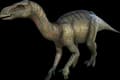 Aberrant Iguanodon