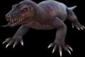 Megalania