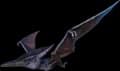 Pteranodon