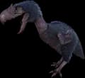 Terror Bird