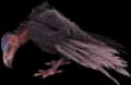 Vulture
