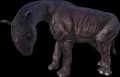 X-Paraceratherium
