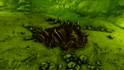 Alpha Tridacna