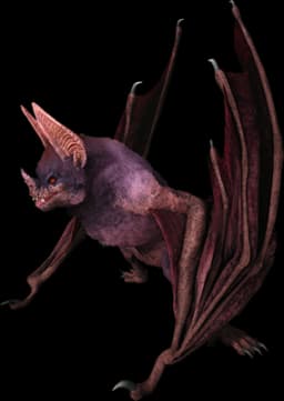 Desmodus