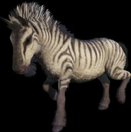 Equus