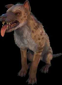 Hyaenodon