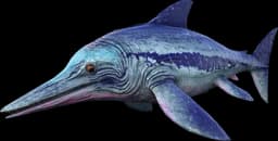 Ichthyosaurus