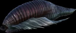 Leech