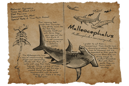 Malleocephalus