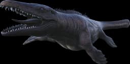 Mosasaurus