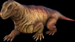 Moschops
