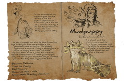 Mudpuppy