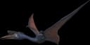 Quetzalcoatlus
