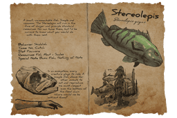 Stereolepis