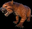 Thylacoleo