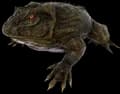 Beelzebufo