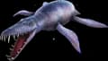 Liopleurodon