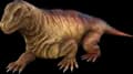 Moschops