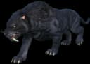Sabertooth