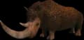 Woolly Rhino