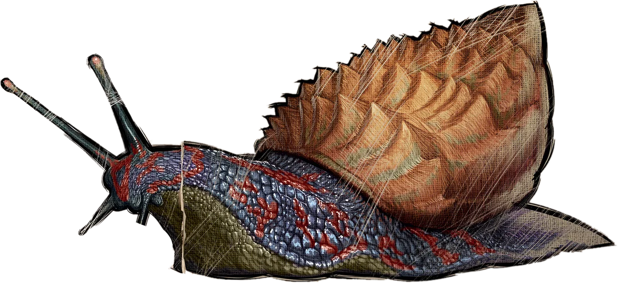 Achatina