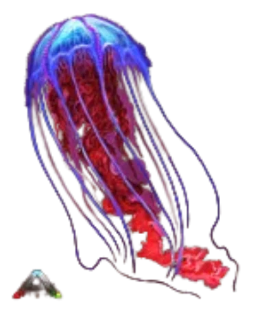 Alpha Chrysaora