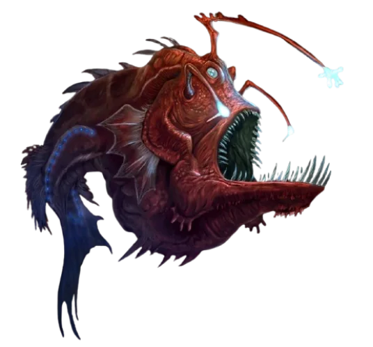 Anglerfish