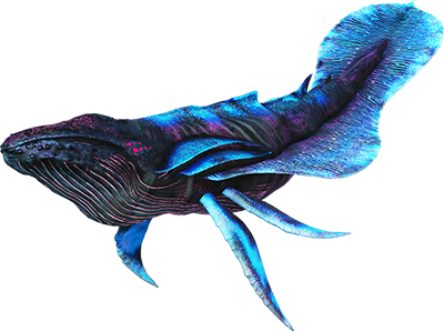Astrocetus