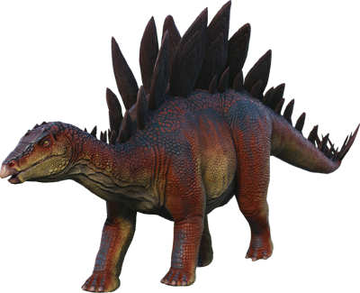 Skeletal Stego