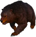 Dire Bear