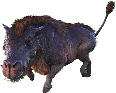 Daeodon