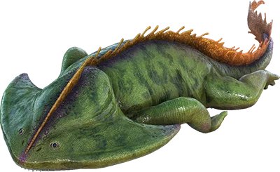 Diplocaulus