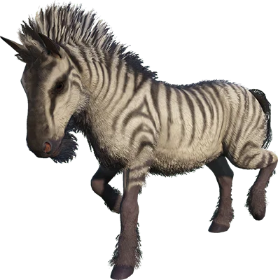Equus