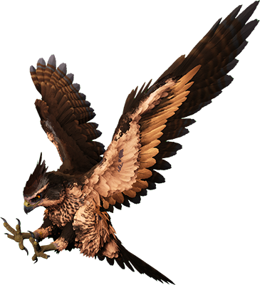 Fjordhawk